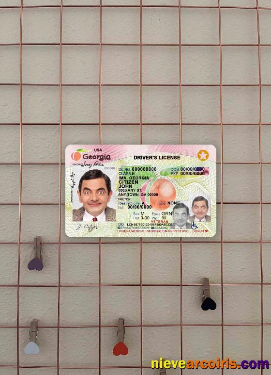 USA Georgia driving license (2017-2019) photolook